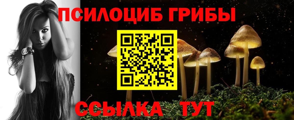 Галлюциногенные грибы мицелий  Галлюциногенные грибы Cubensis  Зеленодольск  Вход с VPN 